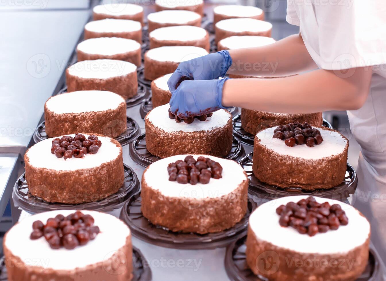 Pastry chef girl makes a cake from fresh biscuit berries and cream. Mass production of cakes and sweets, confectionery factory, professional photo