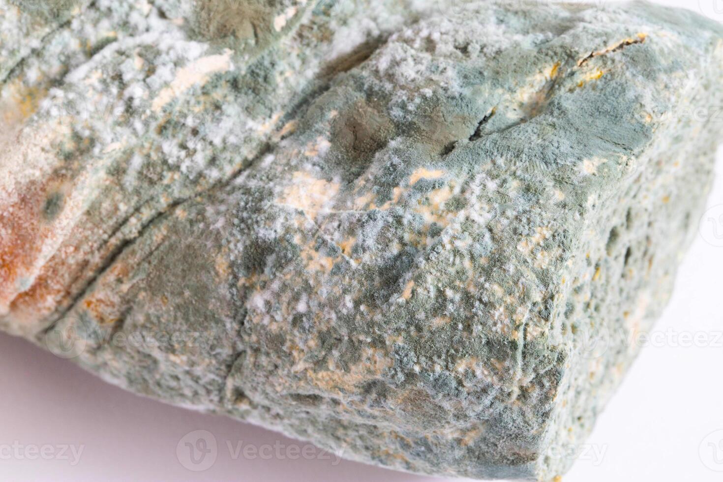 Green moldy bread on a white background, isolate. Loaf with mold, macro photo