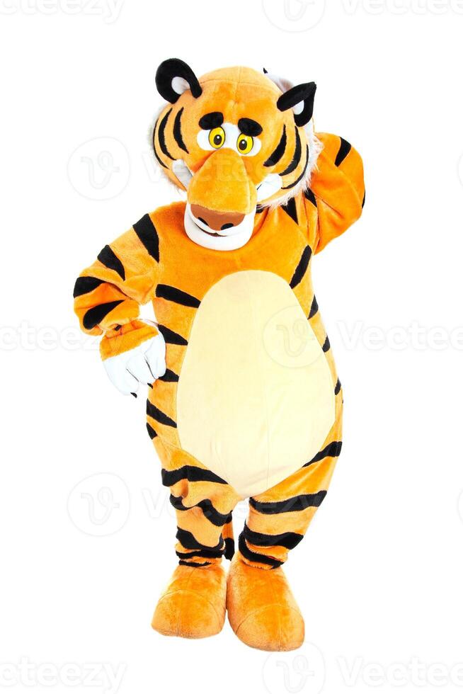 Man in a striped orange tiger costume posing on a white background, isolate. Holiday animator photo