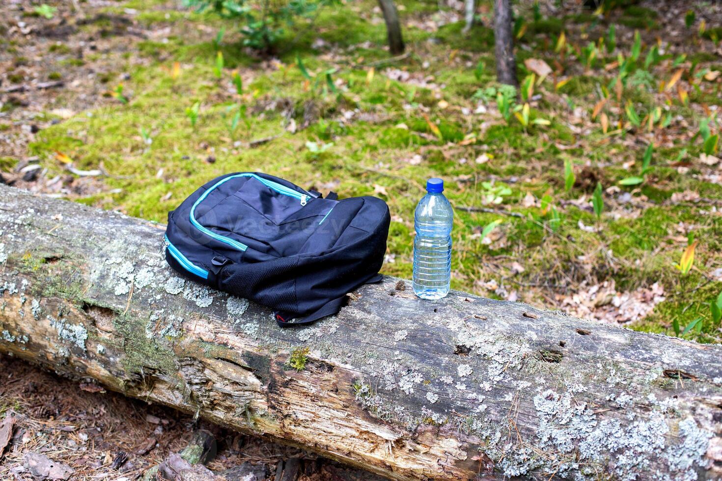 Things in a backpack and a bottle of water are on a tree in the forest. Concept kit for survival in the forest. photo
