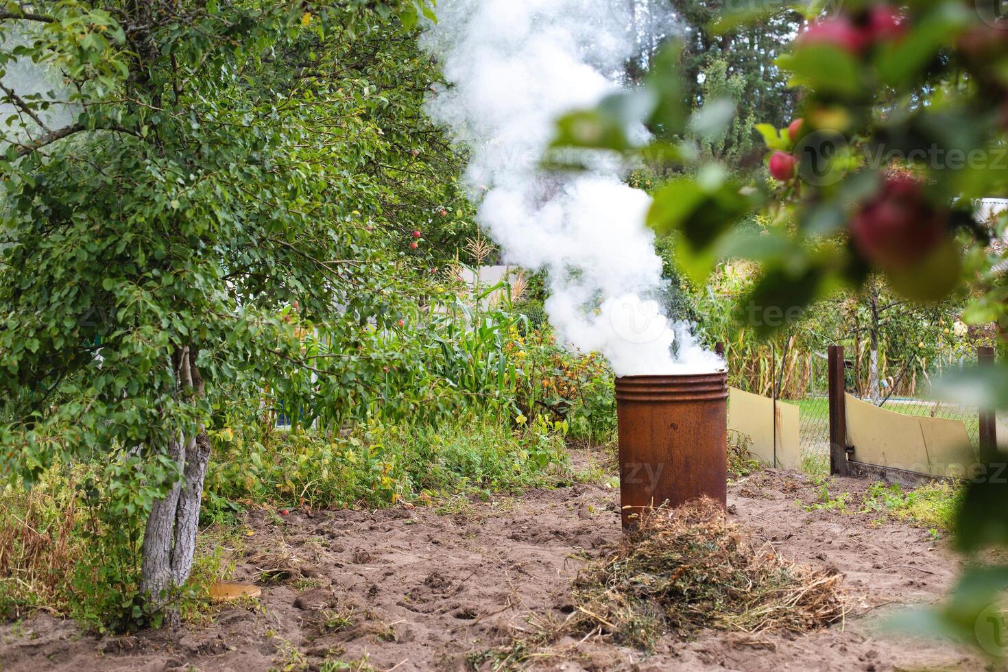 Burning dry grass and garbage in the country in the fall in an iron barrel. Penalty and fire hazard if weed is burned incorrectly. A lot of smoke photo