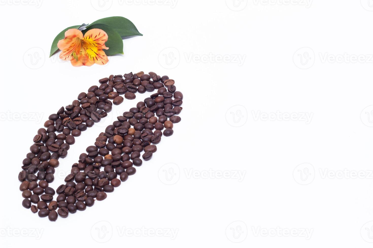 Lined coffee beans from small coffee beans and an orange hibiscus flower on a white background, copy space, organic photo