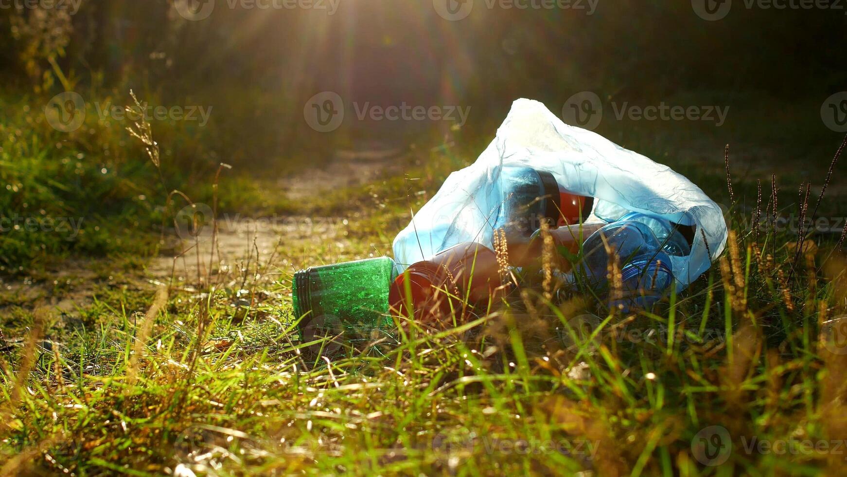 A package of plastic garbage lies in the forest on a forest road, pollution of nature, garbage and nature, the sun, close-up, rubbish photo