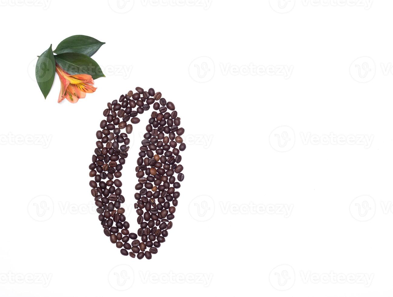 Lined coffee beans from small coffee beans and an orange hibiscus flower on a white background, copy space photo