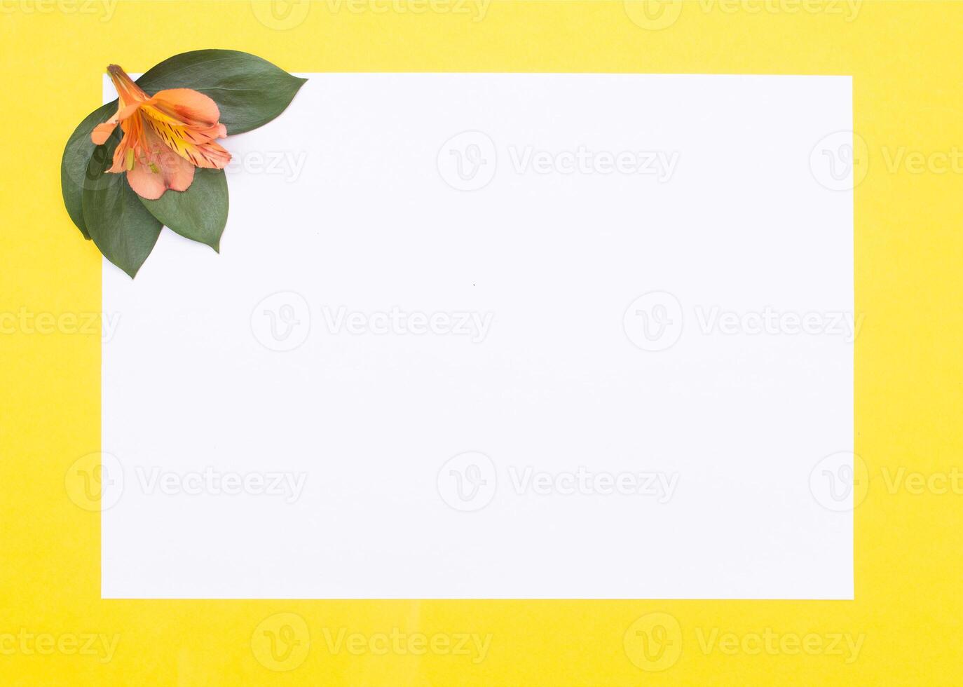 Blank white paper on a yellow background with petals and orange hibiscus flowers, greeting card mockup, romantic photo