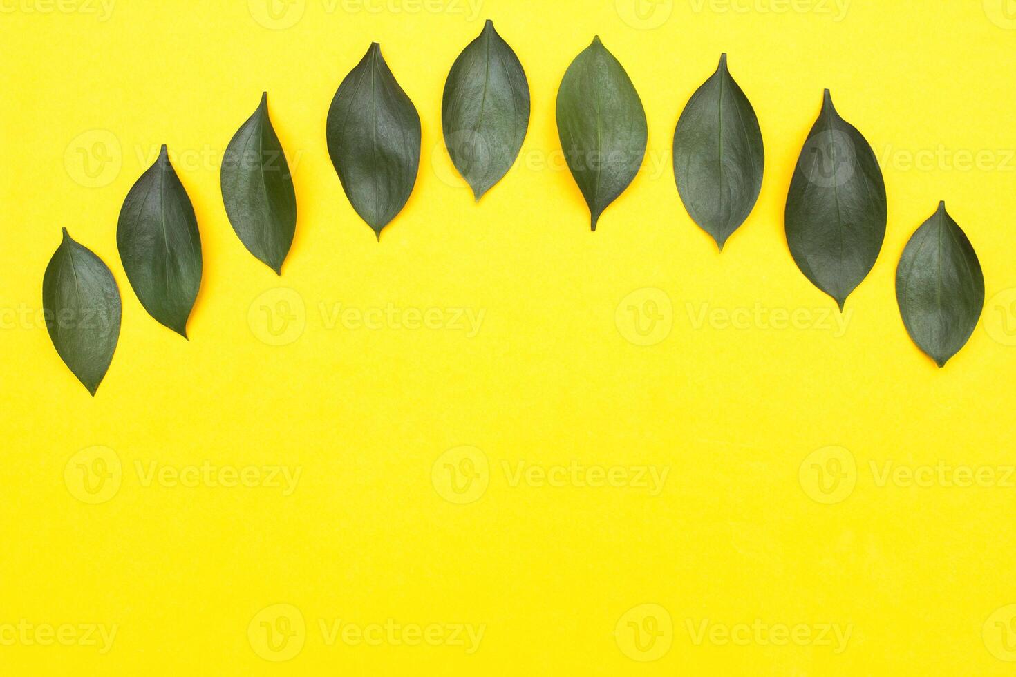 Yellow background layout of green petals of flowers, copy space, decoration photo