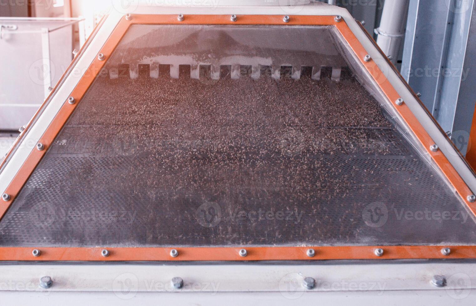 Plant for the processing and manufacture of food grains, grain passes through the cleaning system, cleaning grain photo