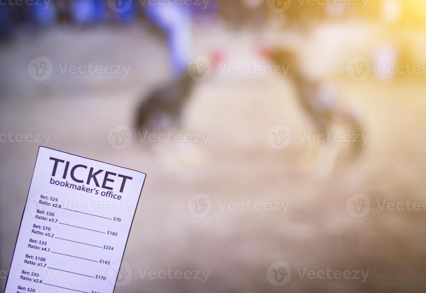 Bookmaker ticket on the background of the TV, which shows cockfighting, sports betting, cock-fights photo