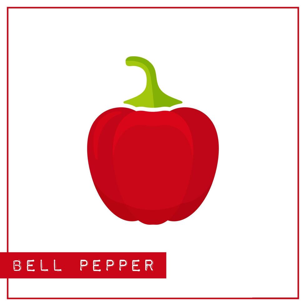 Bright memory training card with colorful vegetable. Flat design isolated red color bell pepper with shine and shade. illustration for vegeterian infographic, kid game or school vitamin poster vector