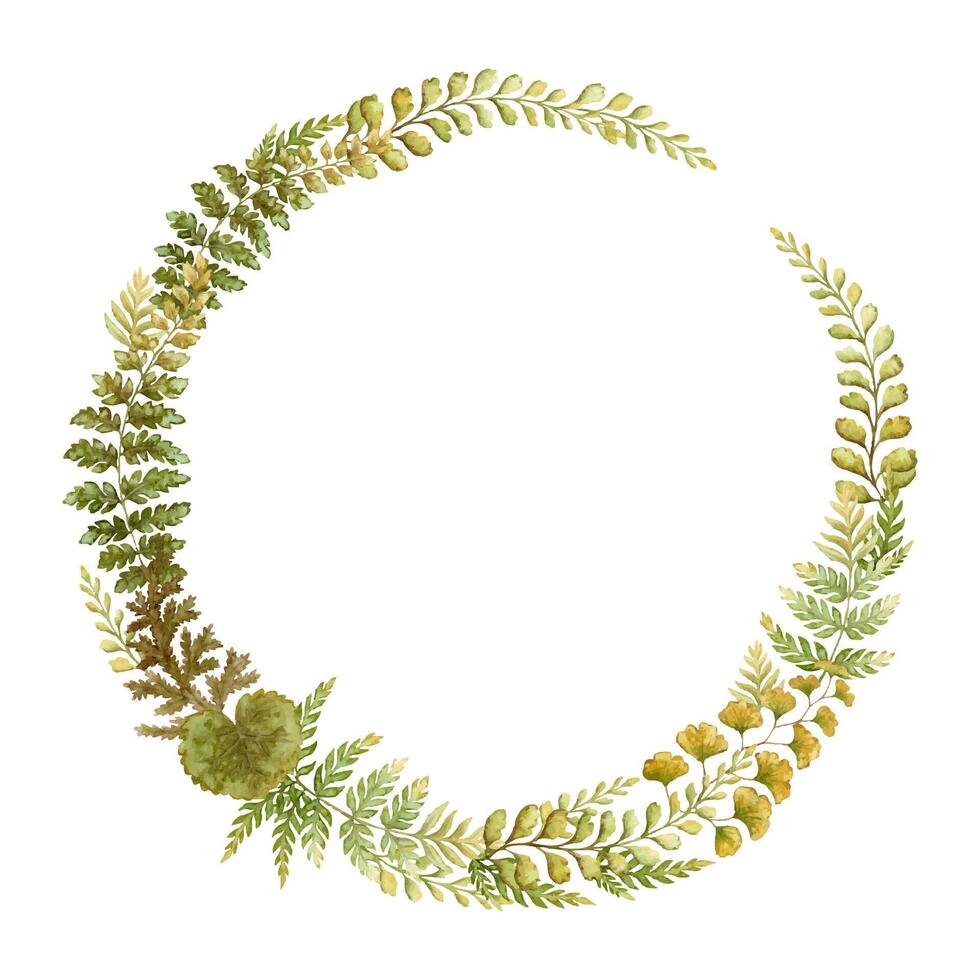 Round wreath with fern leaves botanical card template in earth tone. Hand drawn watercolor elegant floral frame. Perfect for the use of ecological material and sustainable designs. vector