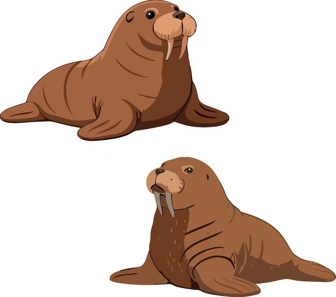 Two walruses resting on white background vector