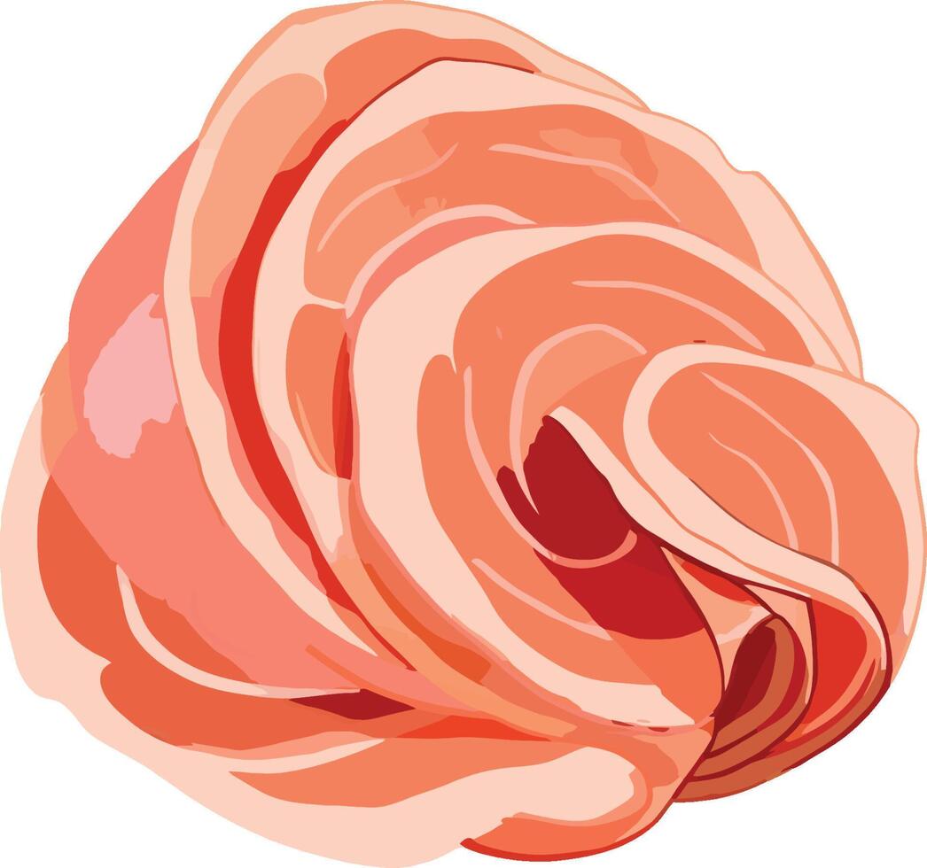 A pink rose is shown in this illustration vector