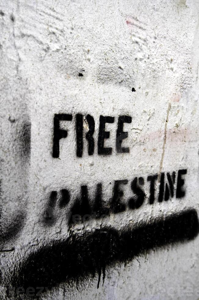 Free Palestine Protest photo