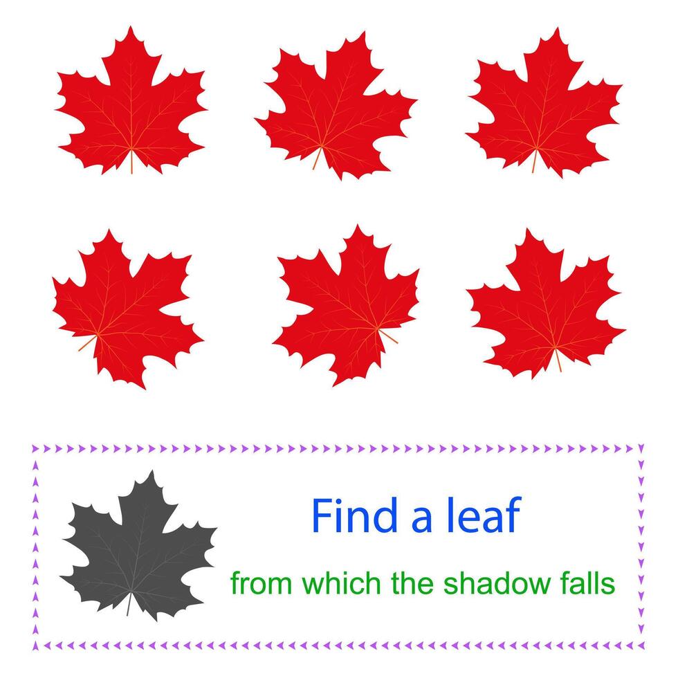Educational game for kids. Task for attentiveness. Find a leaf from which the shadow falls. vector