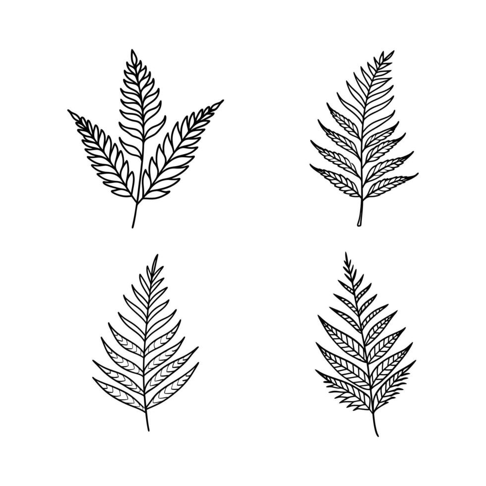 A Set Of Fern Silhouette Illustration vector