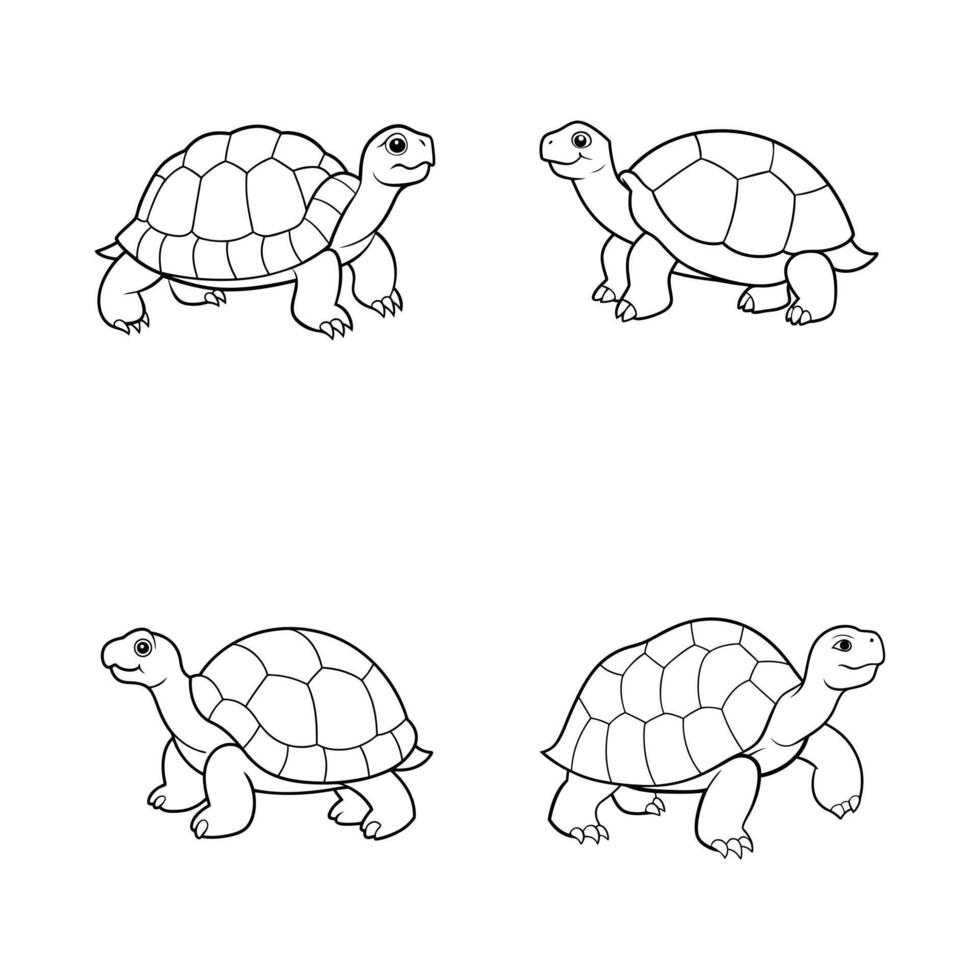 A Tortoise Line Art Illustration vector