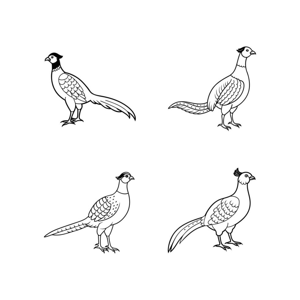Beautiful birds line art illustration vector