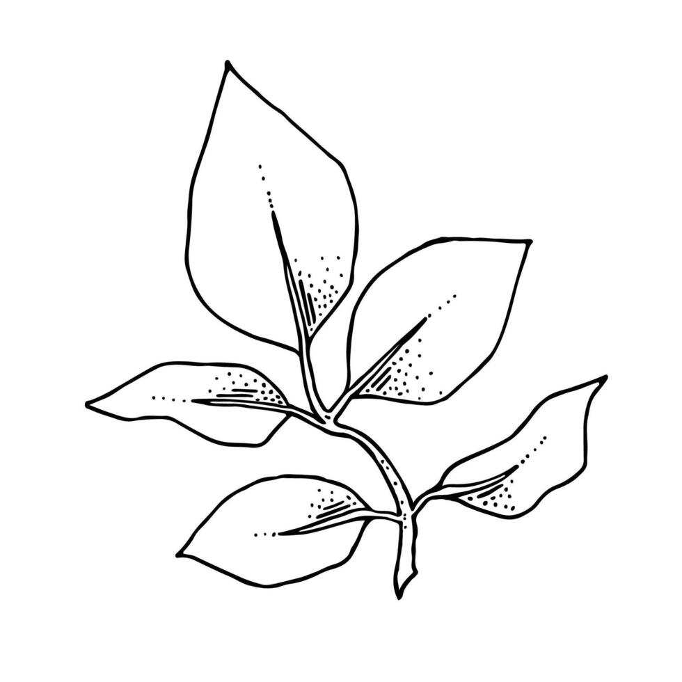 Black and white branch line illustration. vector