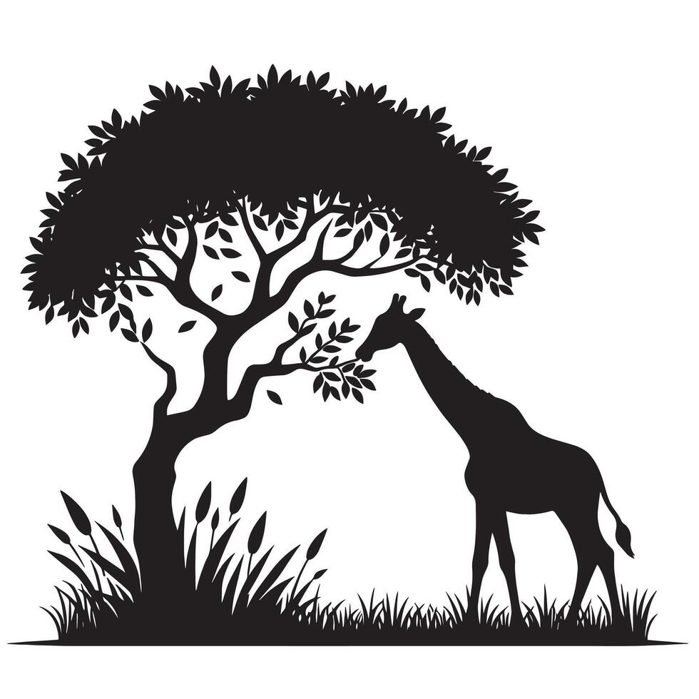 silhouette giraffe eat leaf on the tree vector