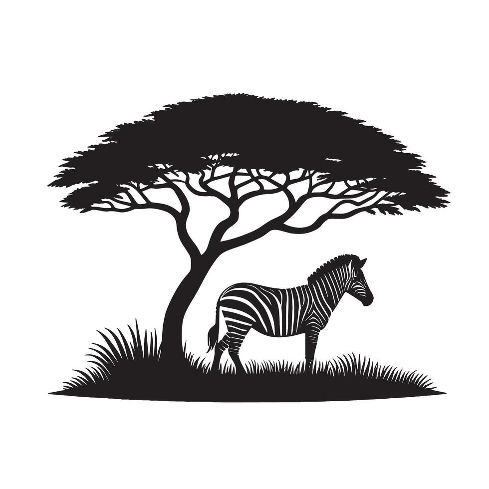 silhouette of zebra under tree in field of savannah vector