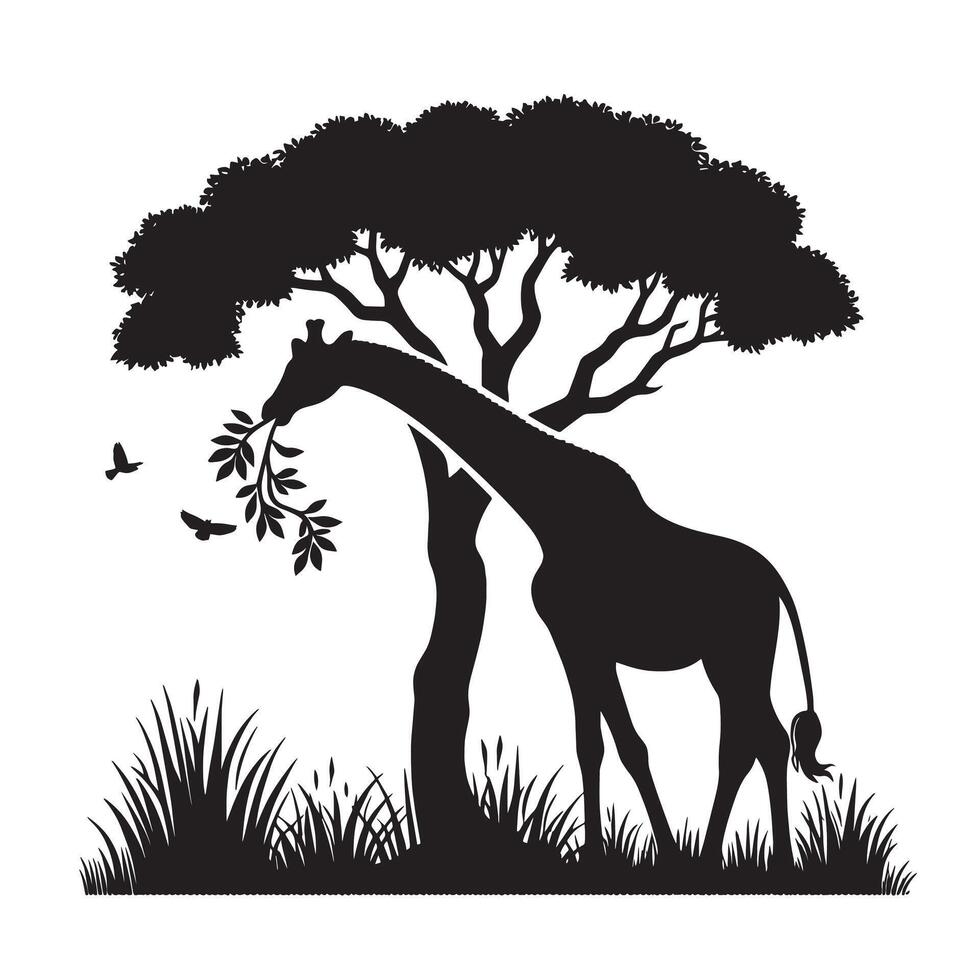 silhouette giraffe eat leaf on the tree vector