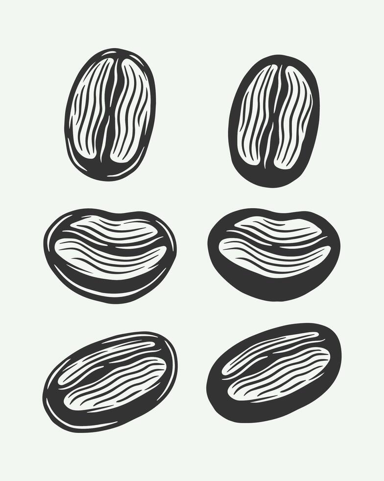 A set of four black and white coffee beans vector