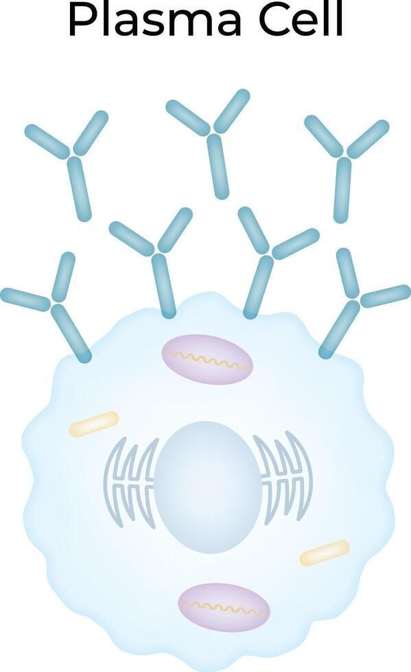 Plasma Cell Science Design Illustration Diagram vector