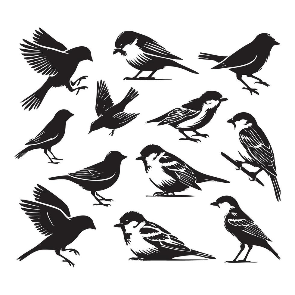 A serene layout of sparrow silhouettes on a white canvas vector