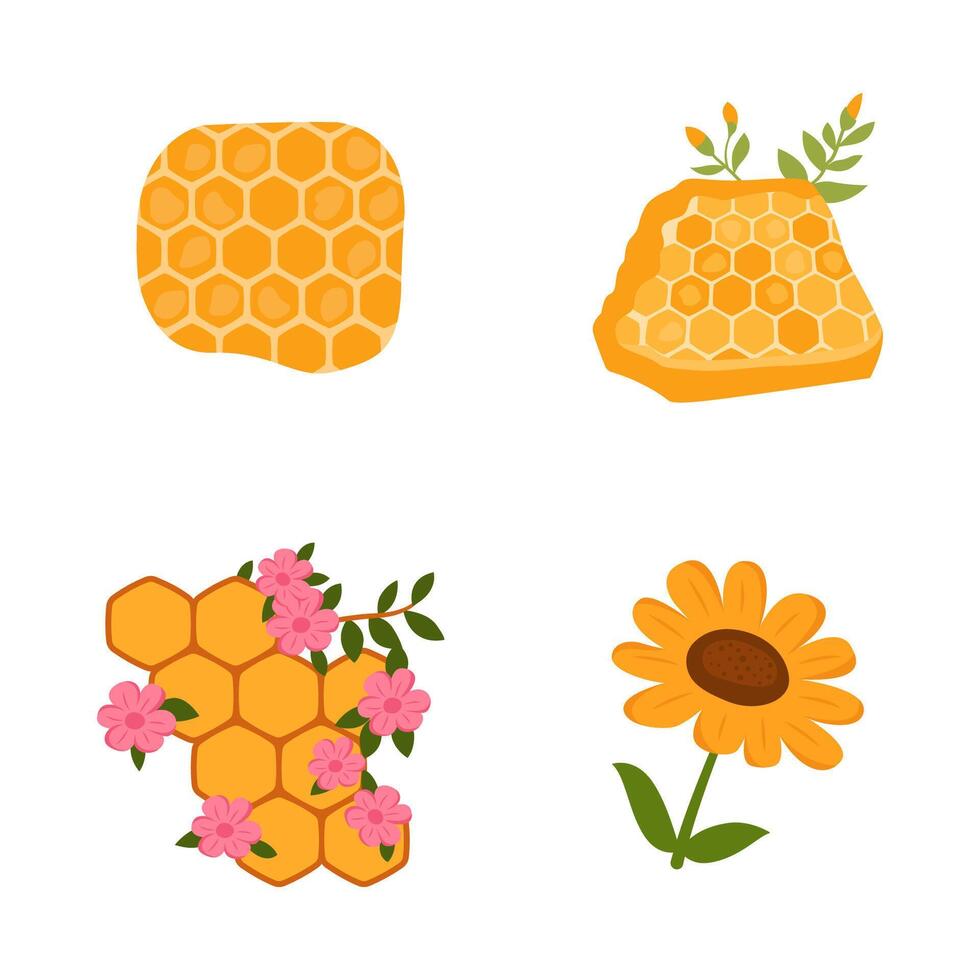 Elements Set of Yellow Honeycomb Honeybee Hive Bee with Flower Plant vector