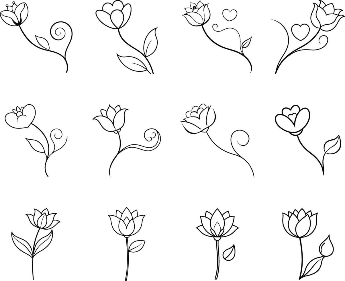 Elegant Line Art Floral Designs Twelve Simple Flower Illustrations vector