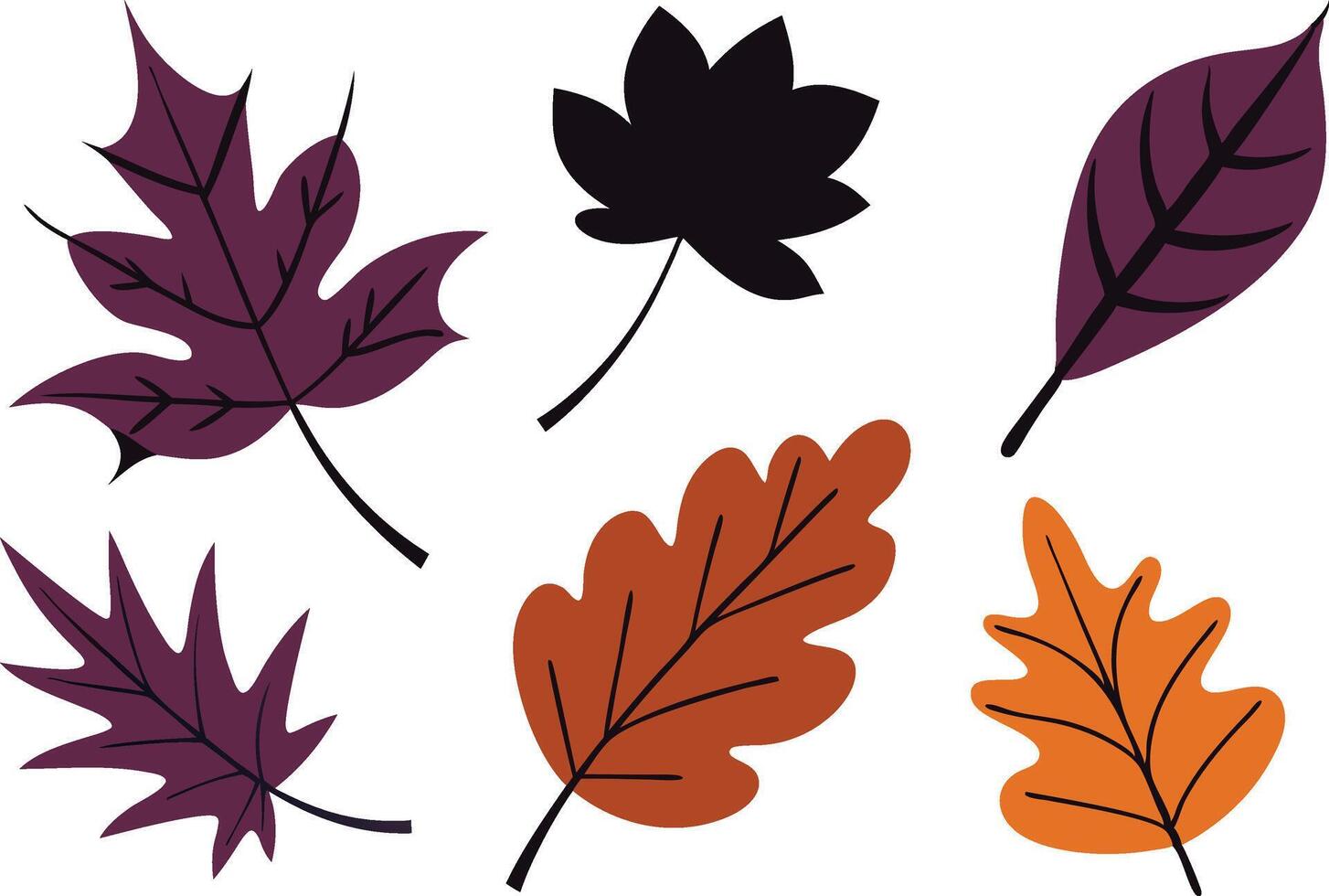 Autumn Leaves Collection Maple, Oak, Fall Foliage Designs vector