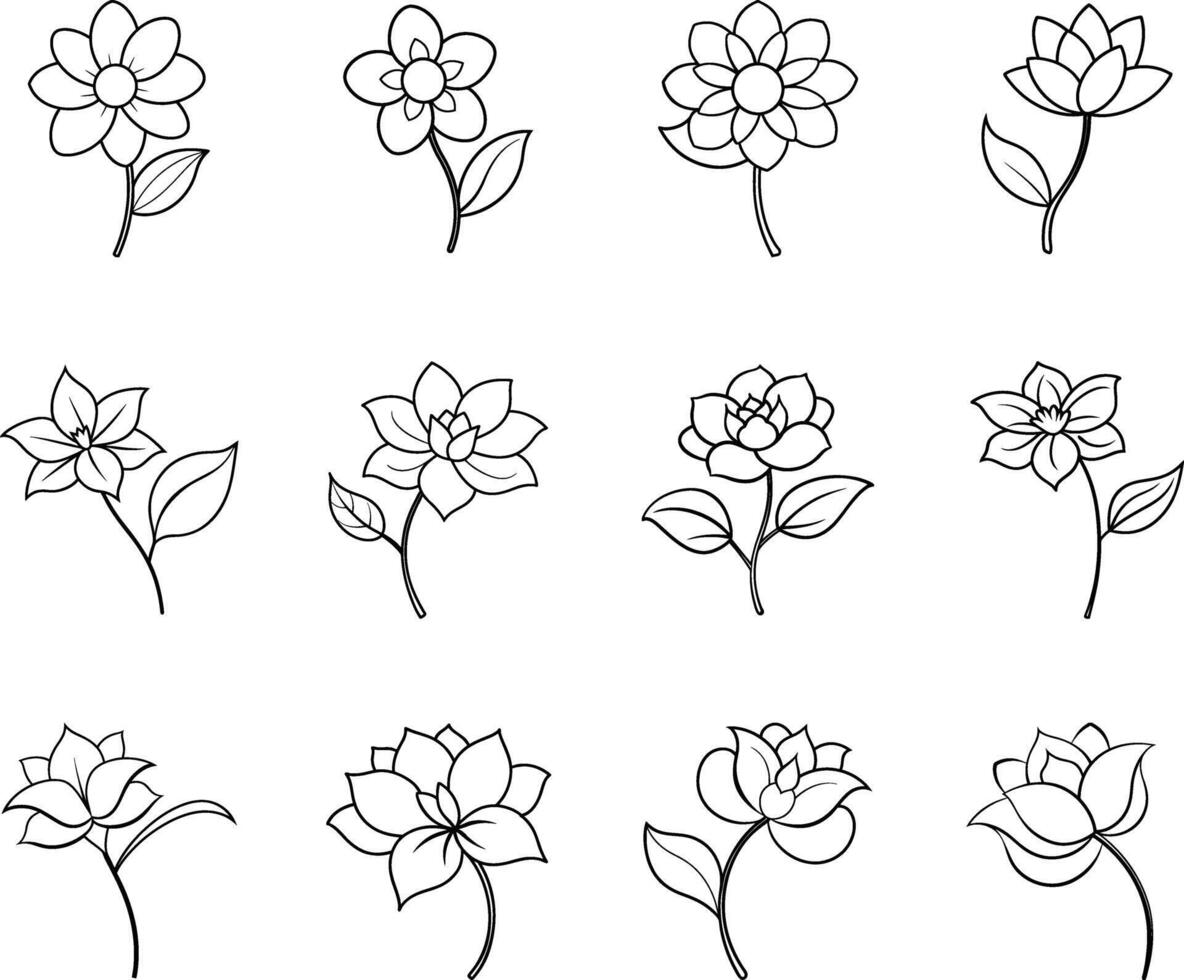 Twelve Line Art Floral Designs Simple Flower Sketches vector