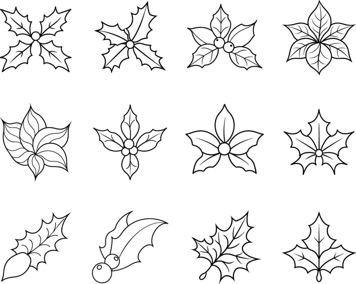 Twelve Holly Berries and Leaves Line Art Designs Illustrations vector