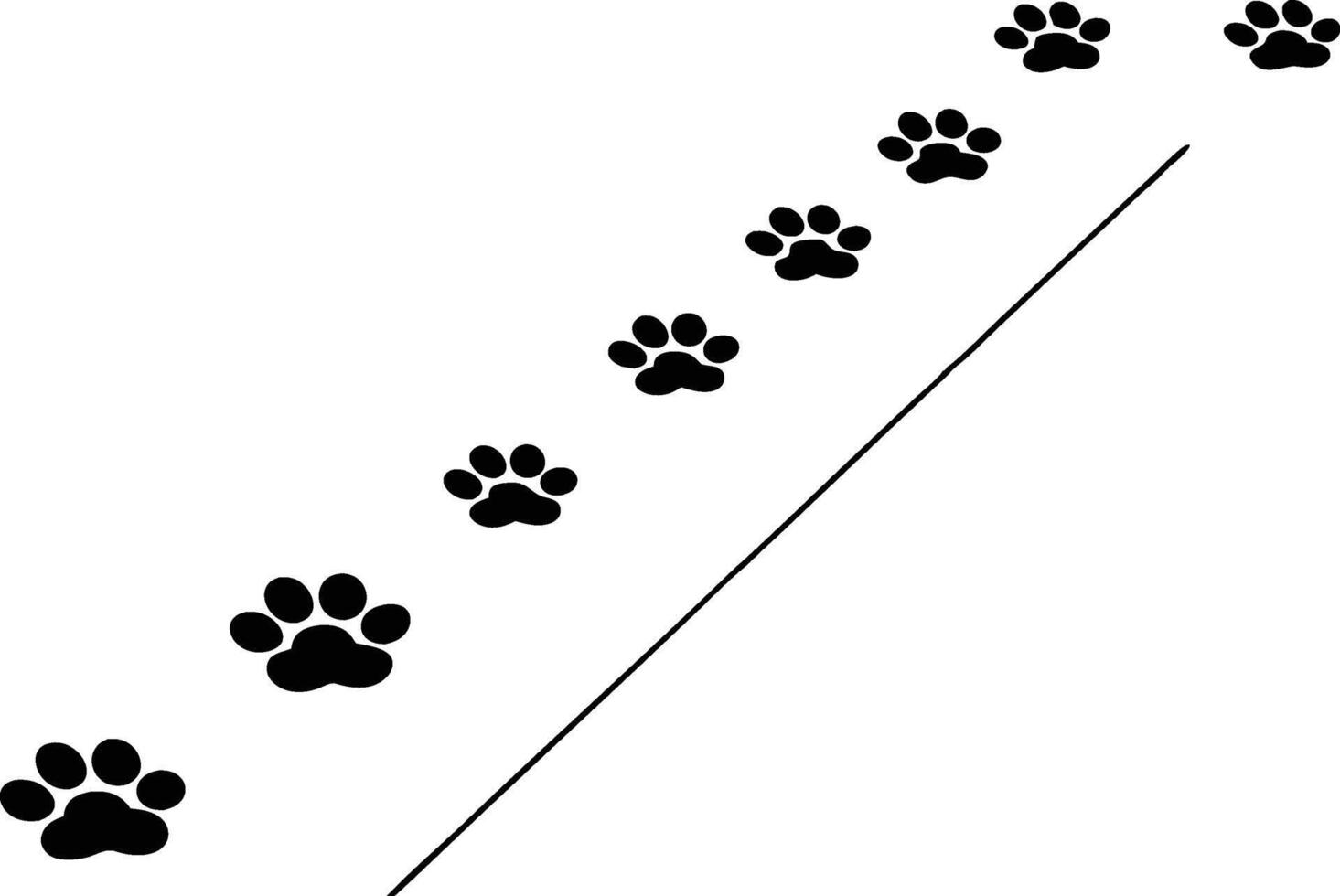 Paw Prints Trail Animal Tracks, Dog, Cat, Path, Steps, Line, Black, White, Simple, Graphic vector