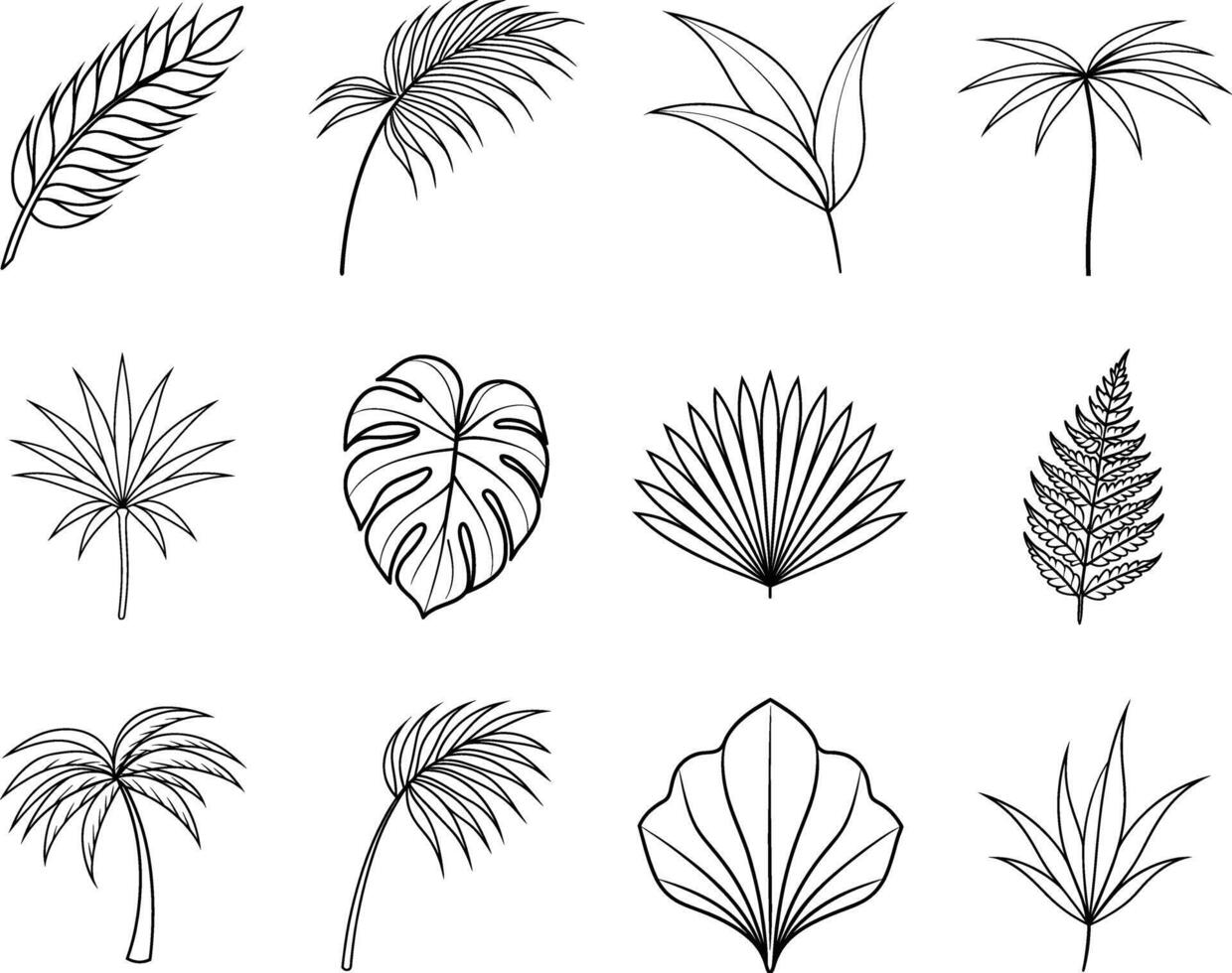 Tropical Leaf Illustrations Palm, Fern, Monstera, and More vector