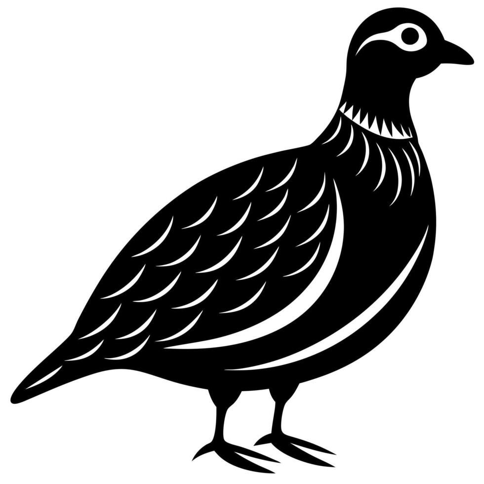 Sandgrouse Bird Silhouette Illustration Design vector