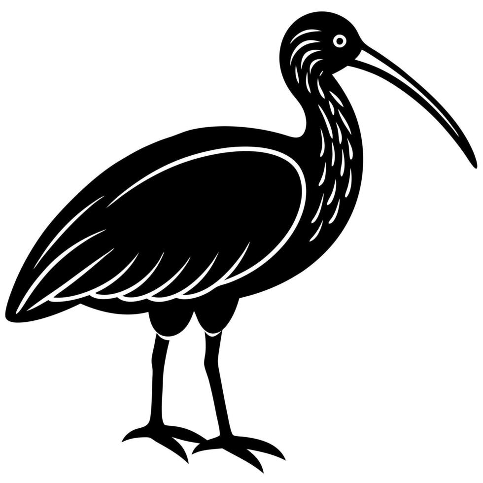 Beautiful Ibis Bird Silhouette for Creative Projects vector