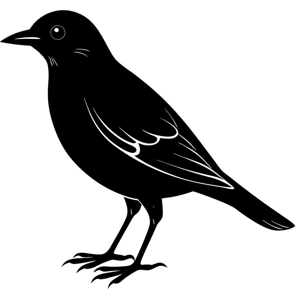 Elegant Bird Logo for Logo Design and Branding vector