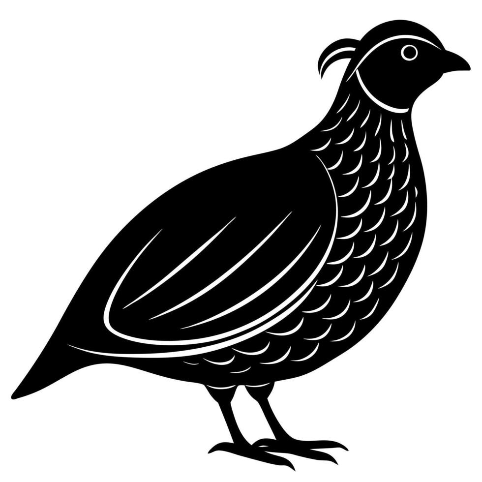 Quail Bird Silhouette Art Perfect for Prints and Designs vector