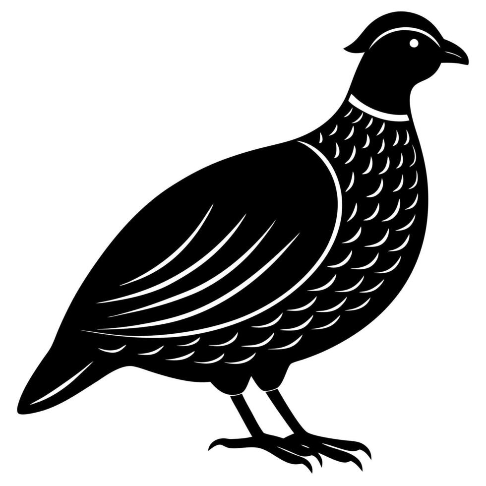 Quail Bird Silhouette Illustration for Creative Projects vector