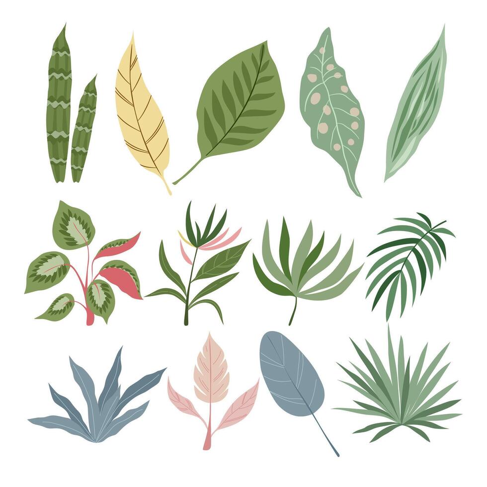 Hand drawn set of design pastel elements tropical leaves. Perfect for card, poster, packaging, paper pattern, background. vector
