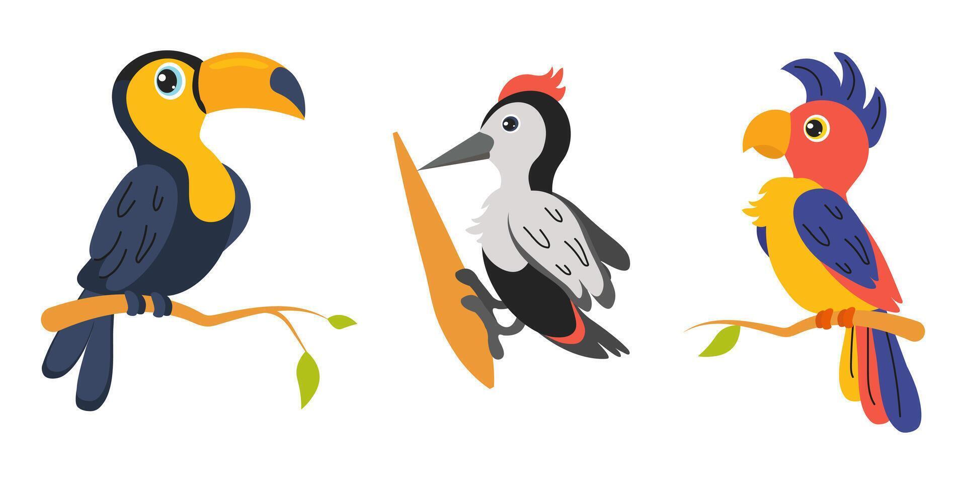 Colorful tropical birds perched on branches in a vibrant illustration vector