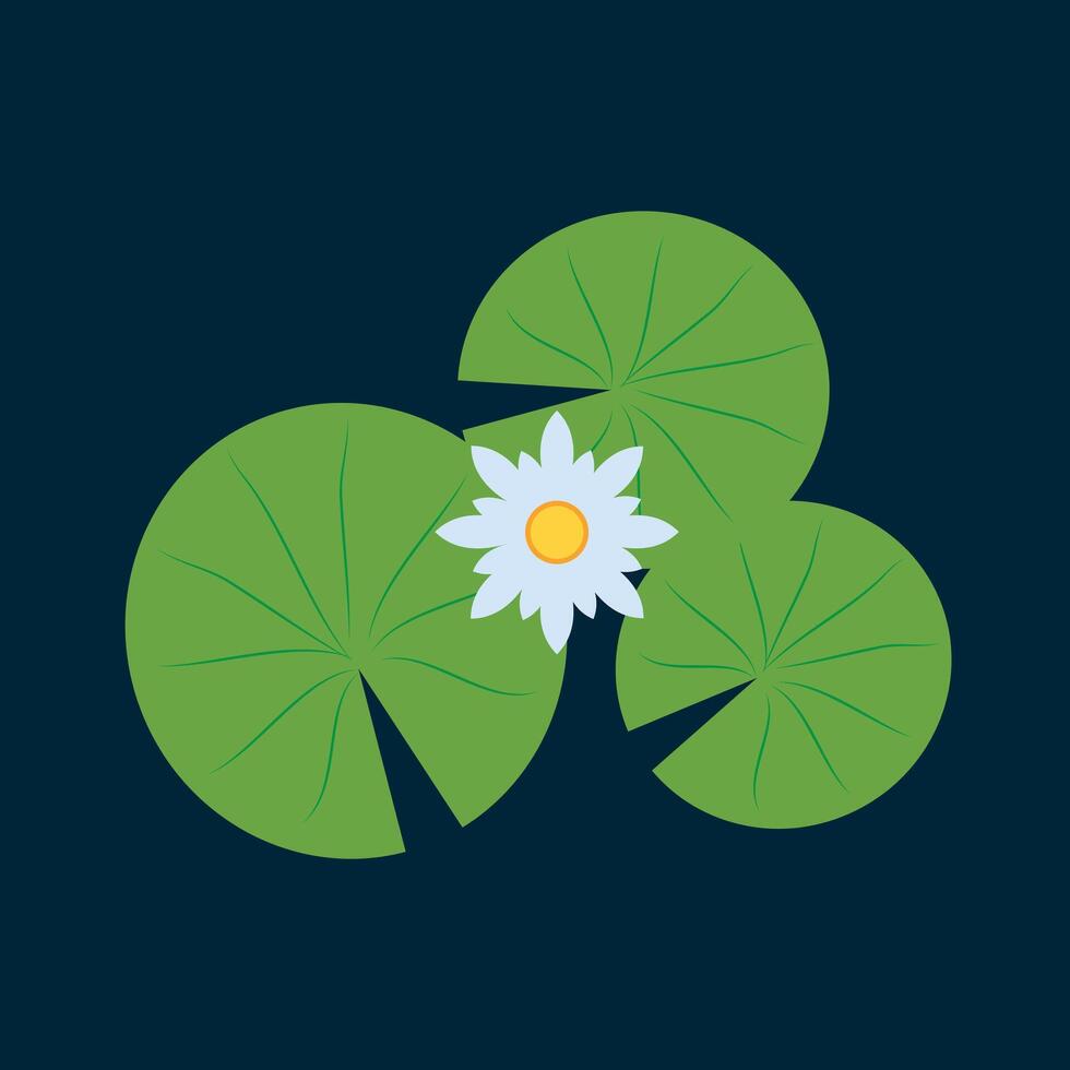 Lily pad and Lotus . wallpaper. free space for text. background. poster. lotus flower. Koi fish. vector