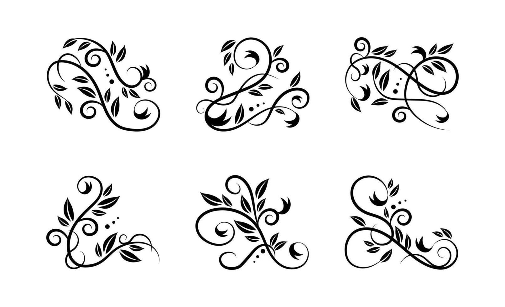 Calligraphy flourish. Letter swirl, pointed pen lettering ornaments and calligraphic lines. vector