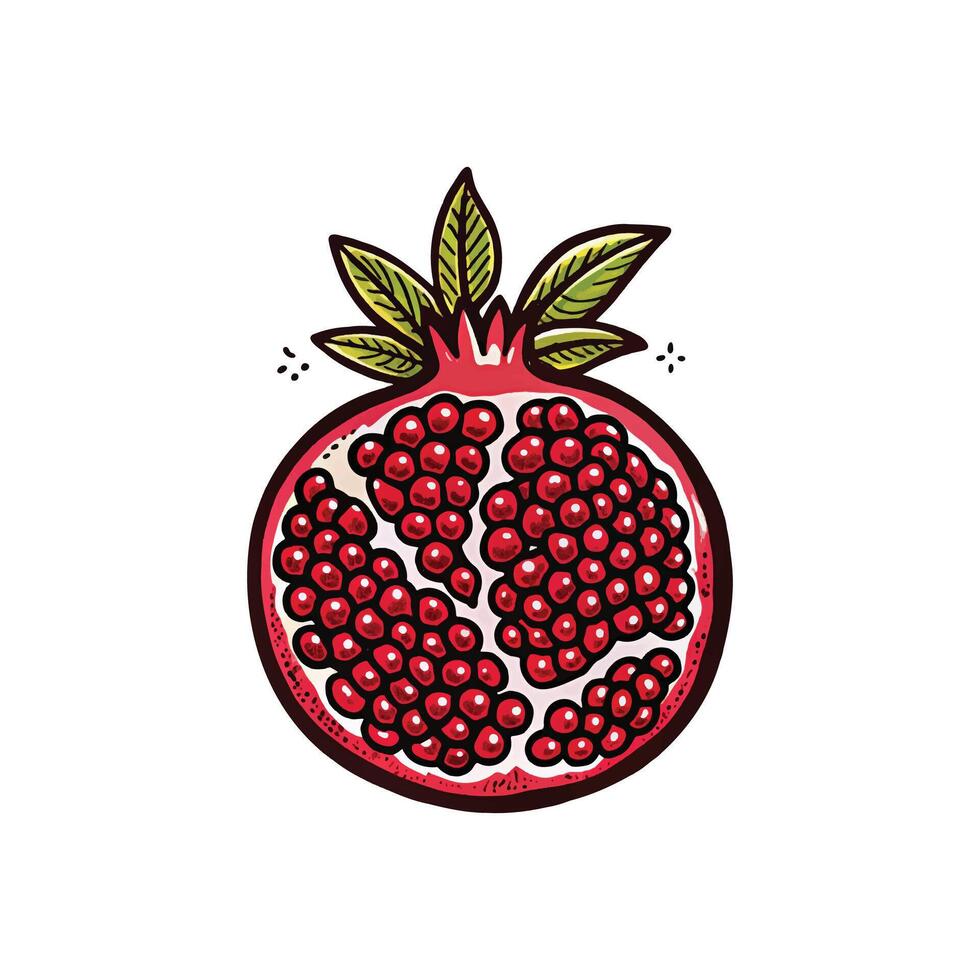 drawing ripe pomegranate, symbol of healthy lifestyle vector