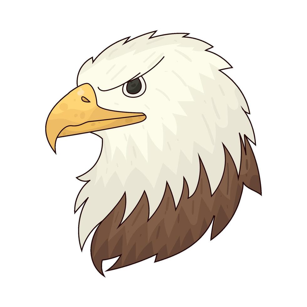 Illustration of Bald eagle vector