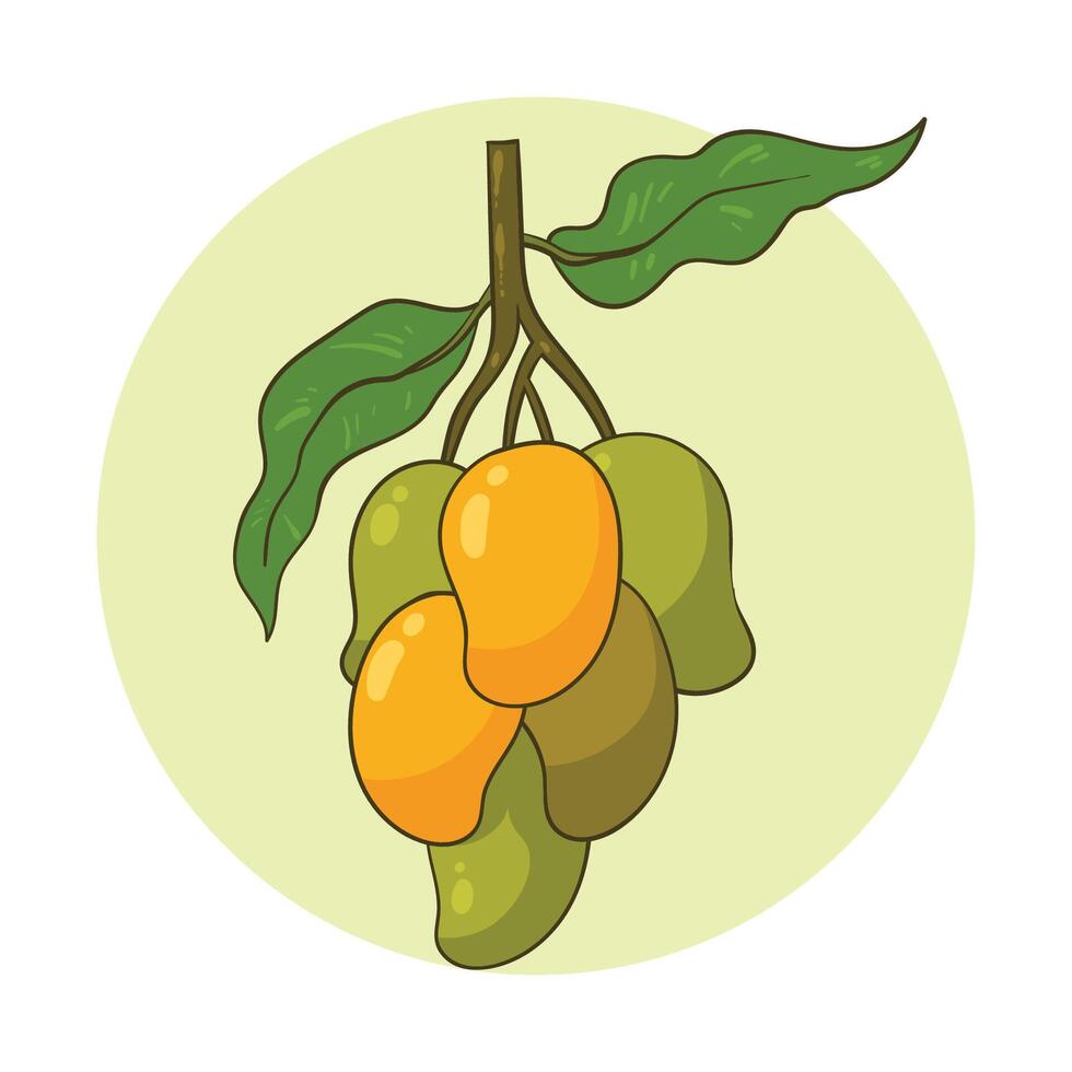 hand drawn mango fruit vector