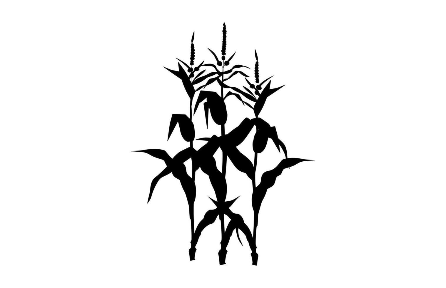 Corn Crops Clipart Silhouette vector