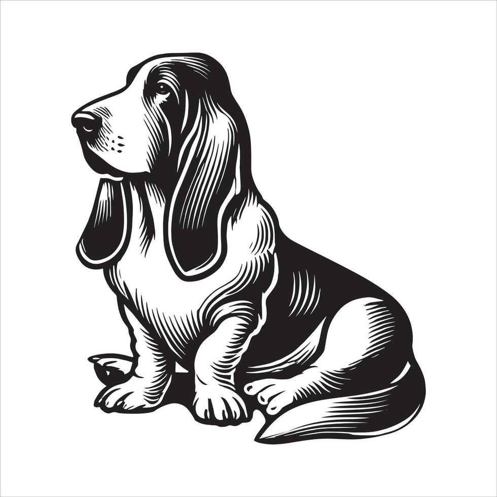 Ears and All Standing Basset Charm vector