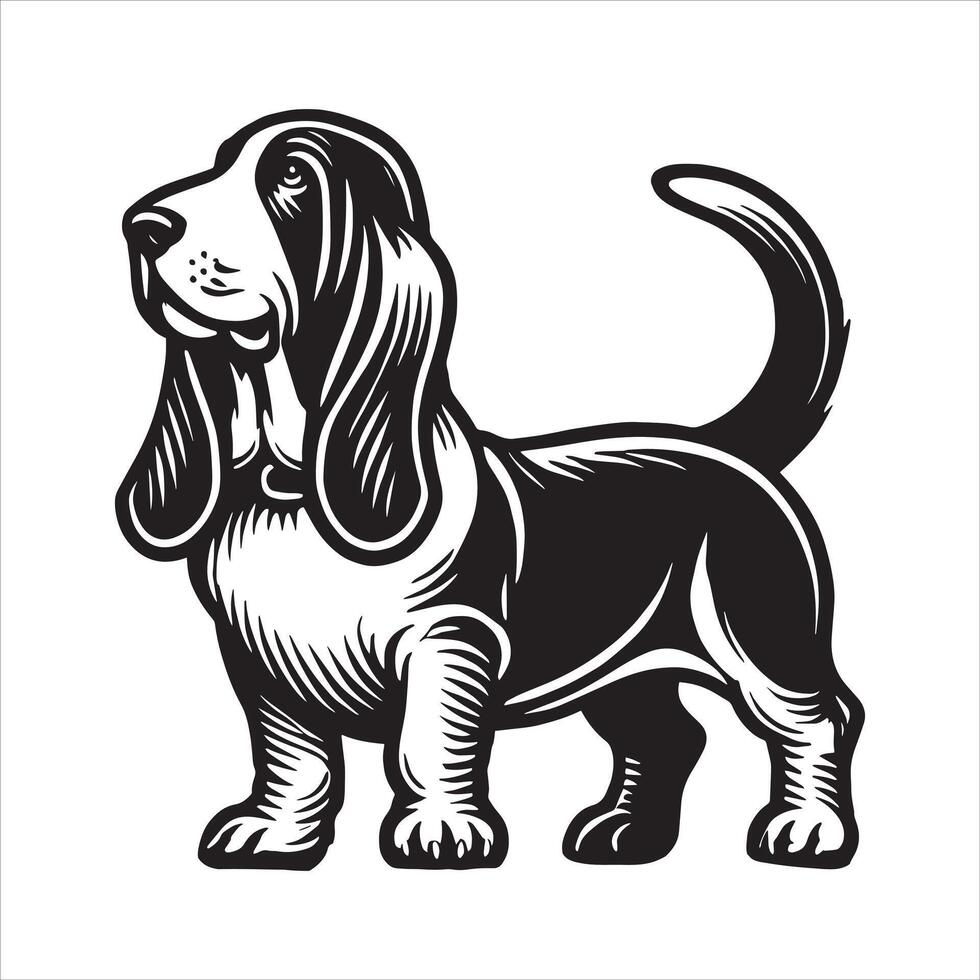 Basset Poise A Stately Stand in Design vector